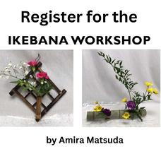 Amira Matsuda, Experienced Ikebana Instructor since 1995