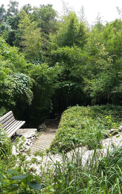 Bamboo Trail at the Taniguchi Japanese Garden, Zilker Botanical Garden, Austin, TX