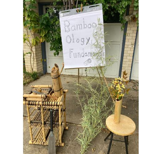 Bamboo Ology Fundamentals Workshop Oct 26-27,2024