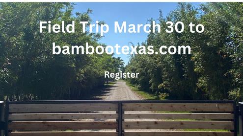 Field Trip to www.bambootexas.com